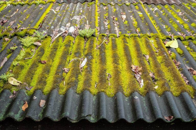 démoussage-pba-renovation